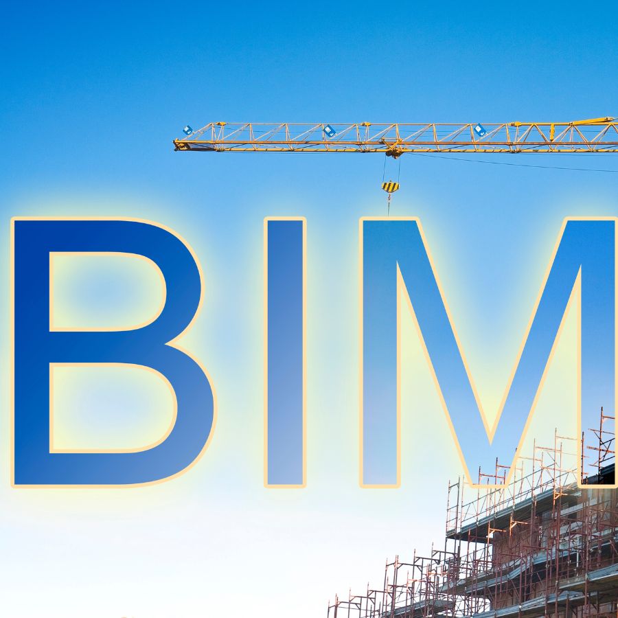 Analyzing the Underlying Causes of BIM’s Sluggish Growth